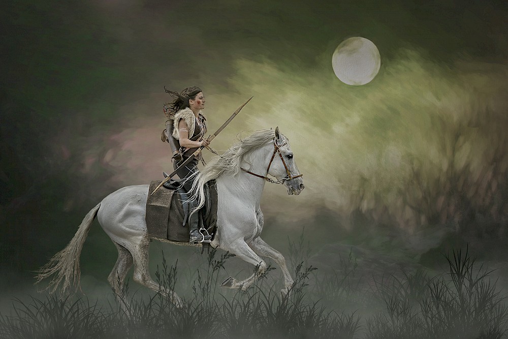 Night Hunter