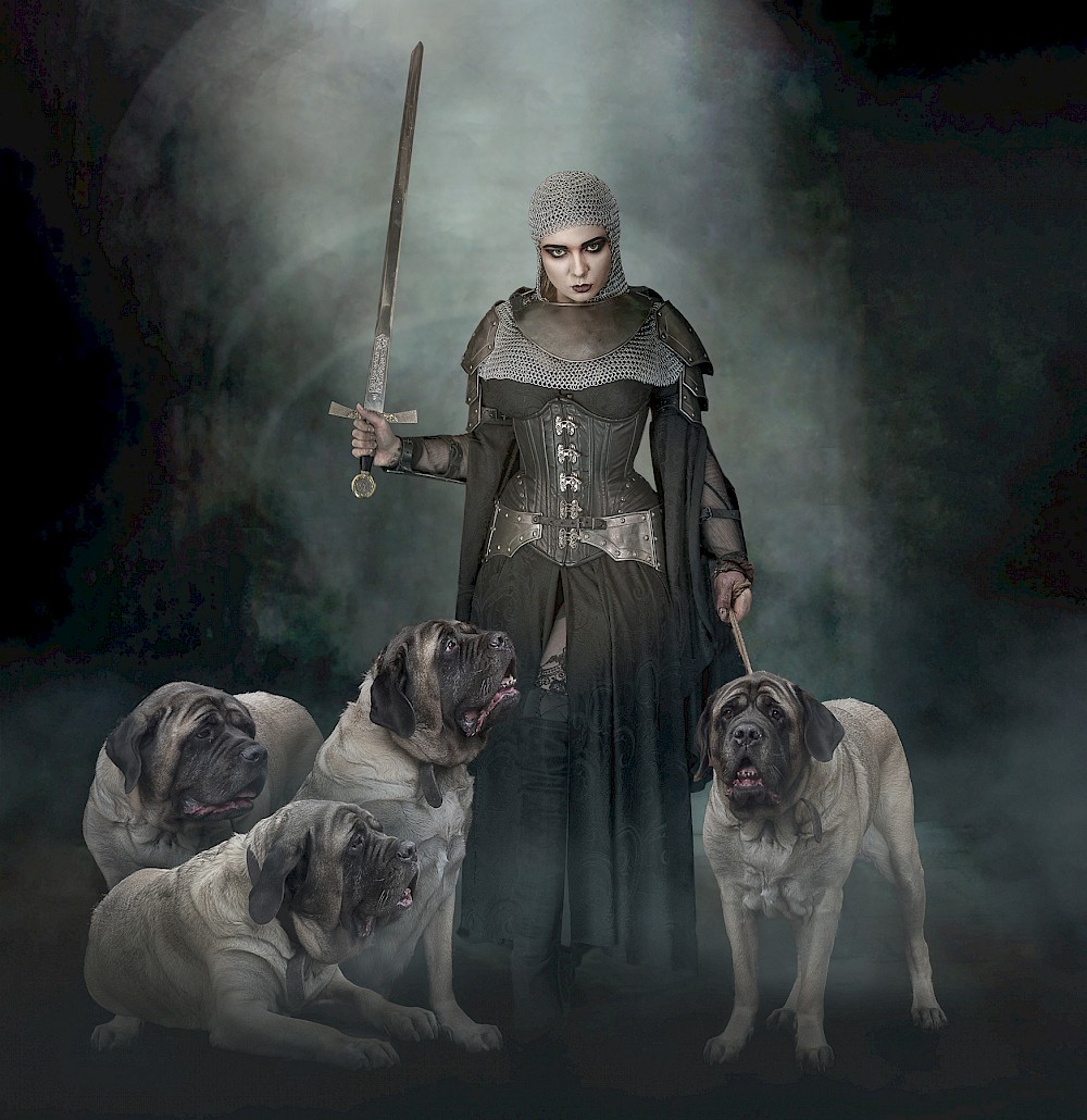 Who Let The Dogs Out