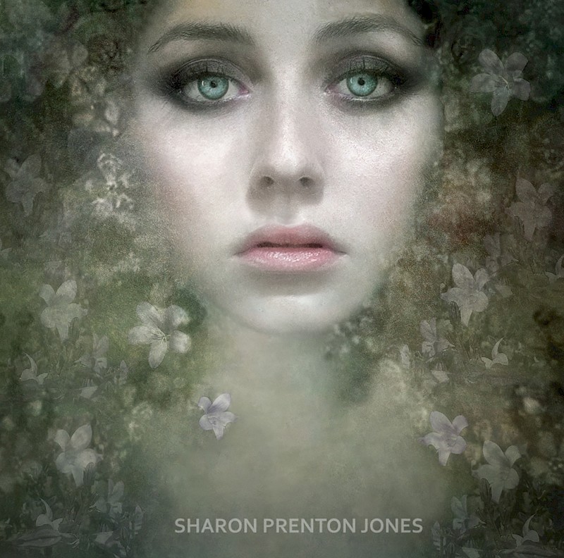 Sharon's results from the Midland Salon of International Photography