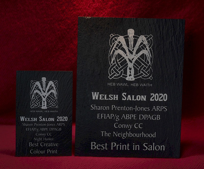 Sharon’s trophies from the Welsh Salon